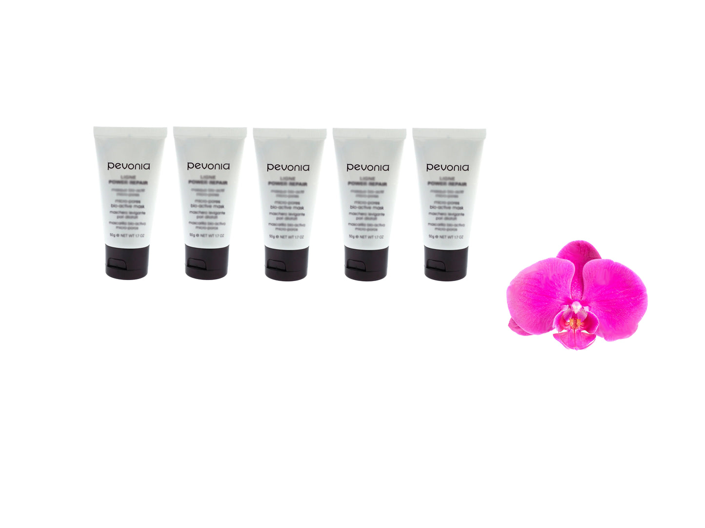 Pevonia Age Defying Marine Collagen Cream 5 Samples