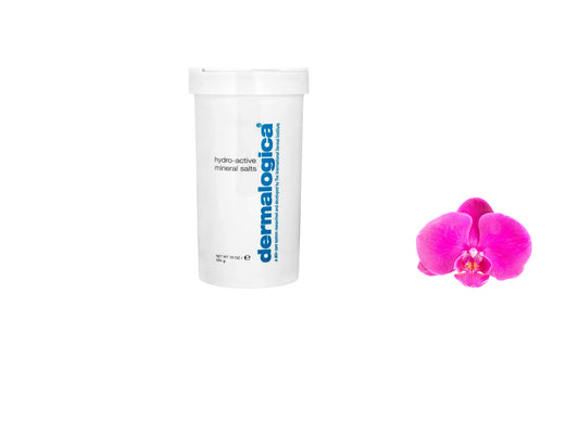 Dermalogica Hydro-Active Mineral Salts 10oz/ 284g Brand New