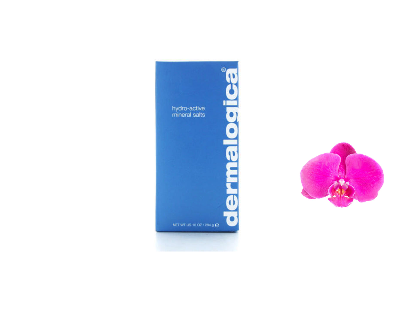 Dermalogica Hydro-active Mineral Salts 284g / 10oz