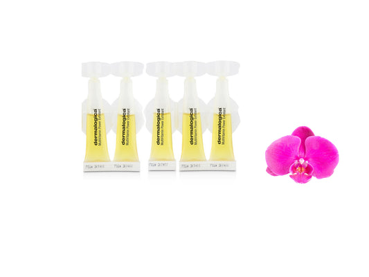 Dermalogica Multivitamin Power Exfoliant 5 Bulbs Prof