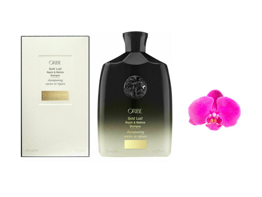 Oribe Shampoo for Beautiful Color 8.5oz / 250ml Brand New  in Box