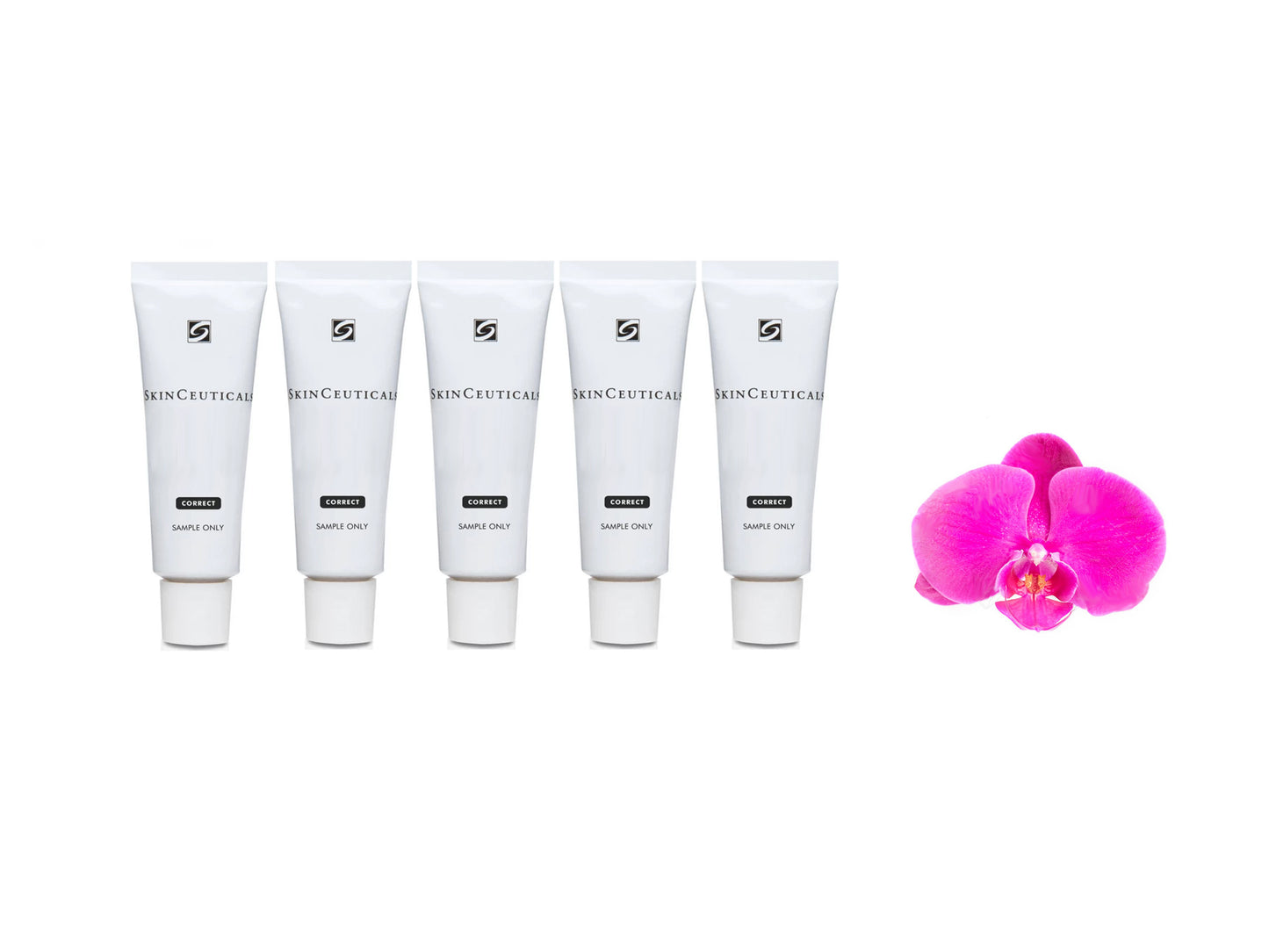 Skinceuticals AGE A.G.E. Interrupter 5 Samples