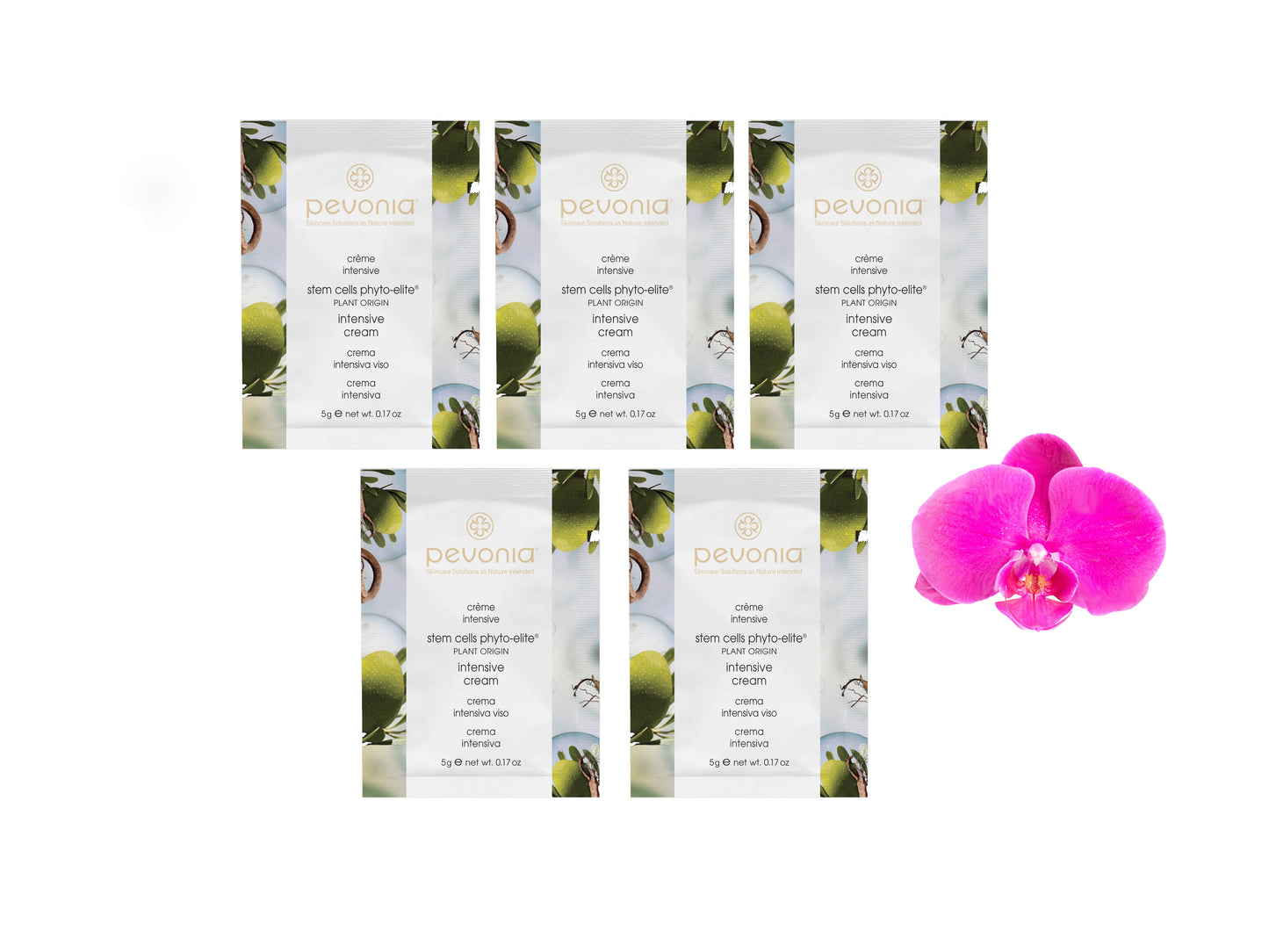 Pevonia Stem Cells Phyto-Elite Intensive Cream 5g x 5 Samples
