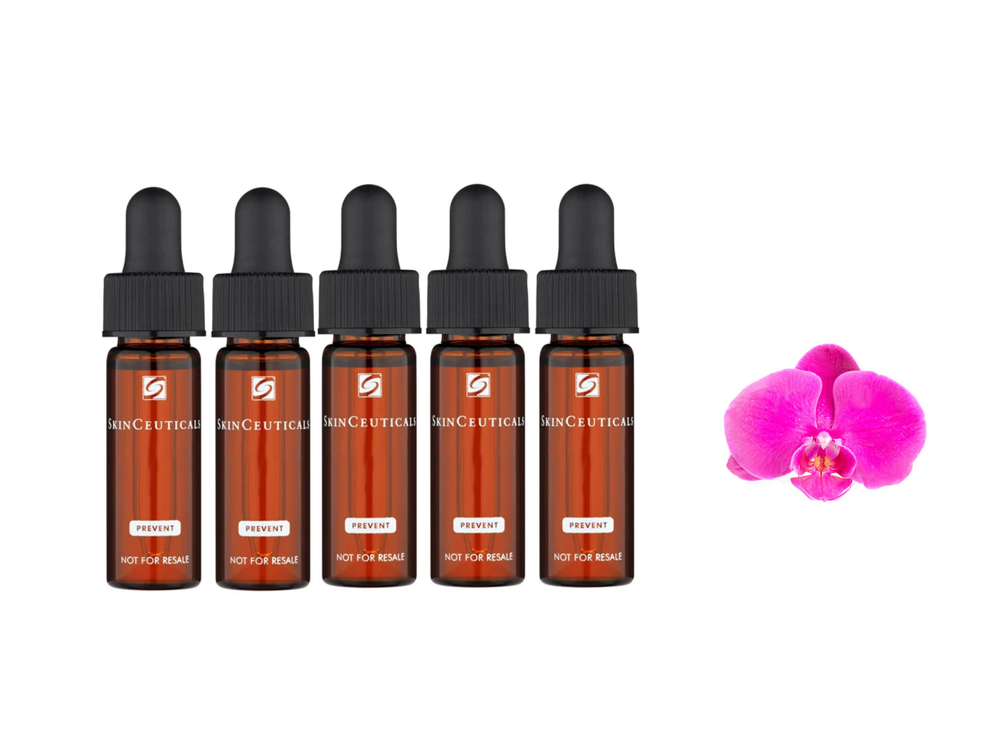 SkinCeuticals Travel Size 5 x 4ml Sample Set  Discoloration Defense Serum  