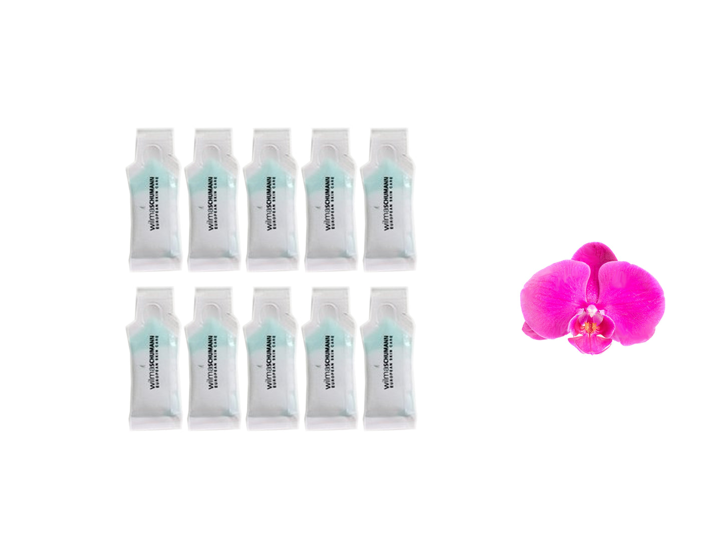 Wilmaschumann Collagen Hydrating Serum 1ml x 10 Samples